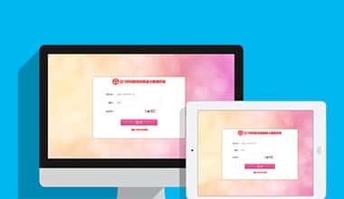 浙江市妇联数据信息三级报送系统