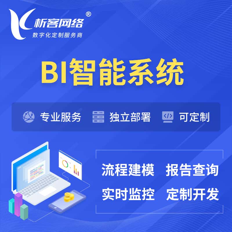 浙江BI智能系统 | BI数据可视化